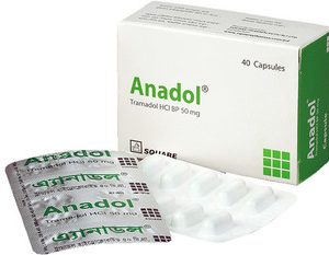 Anadol